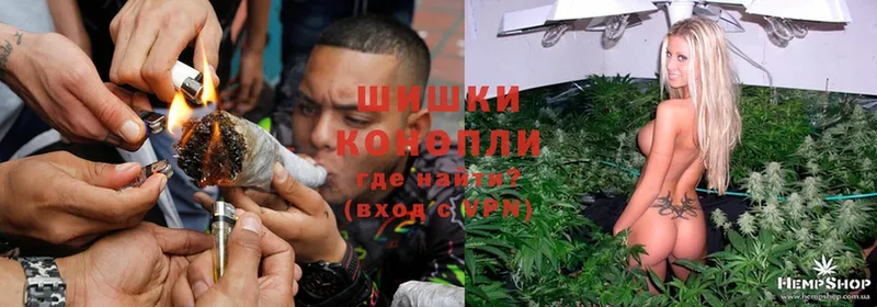 купить закладку  Злынка  Бошки Шишки Ganja 